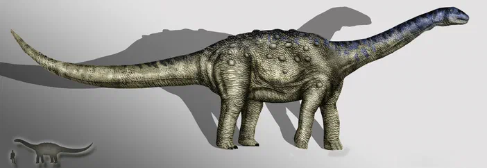 Vue d'artiste de l'Aeolosaurus, un dinosaure saurien à long cou et pattes robustes.