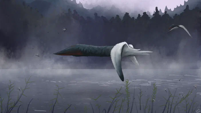 Deux créatures ailées en vol survolent une eau brumeuse avec de la végétation flottante.