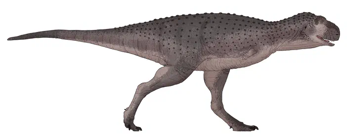 Représentation d'un dinosaure bipède, le Thanos simonattoi, avec une peau grise parsemée de taches sombres et des membres puissants.