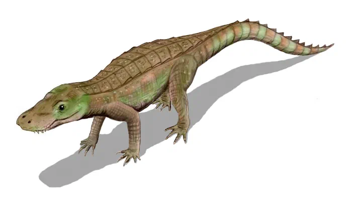 Représentation d'Anatosuchus minor, un crocodilien du Crétacé inférieur de Niger.