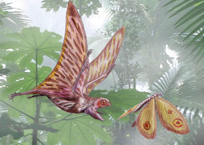 Illustration d'un ptérosaure Anurognathus ammoni poursuivant un insecte Kalligramma haeckeli dans une forêt du Jurassique supérieur.