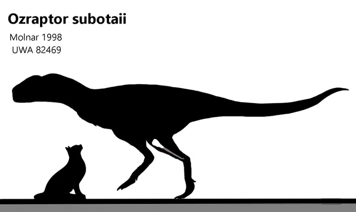 Silhouette d'un dinosaure Ozraptor subotaii à côté d'un chat pour l'échelle
