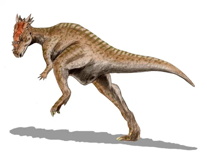 Représentation d'un dinosaure Dracorex hogwartsia en position de marche sur fond blanc